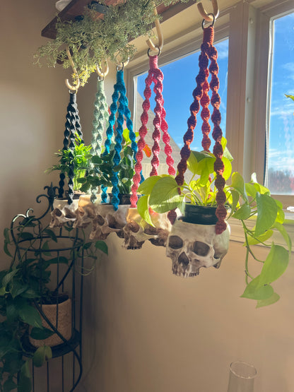 Macrame Skull Plant Holder
