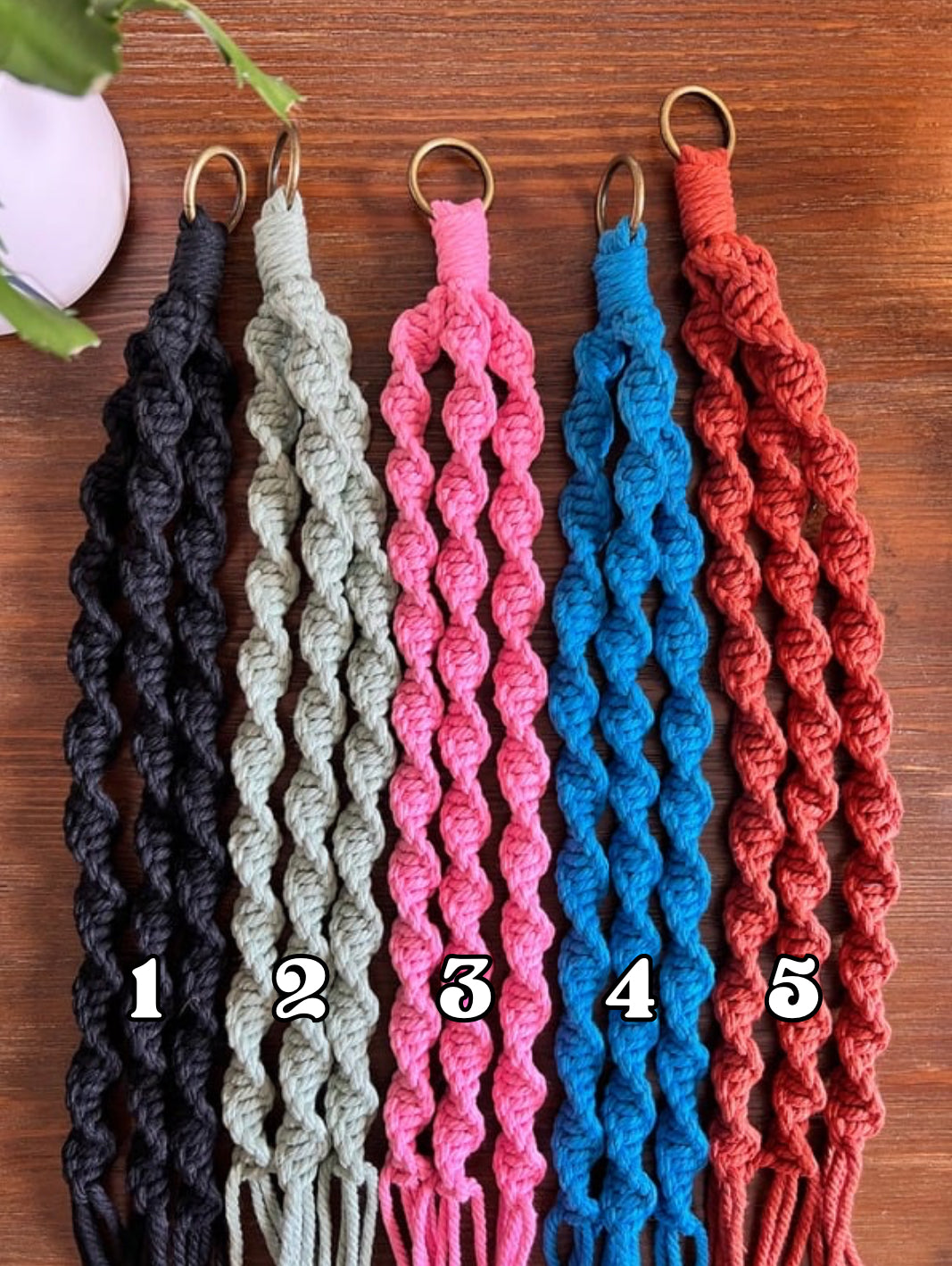 Macrame Skull Plant Holder