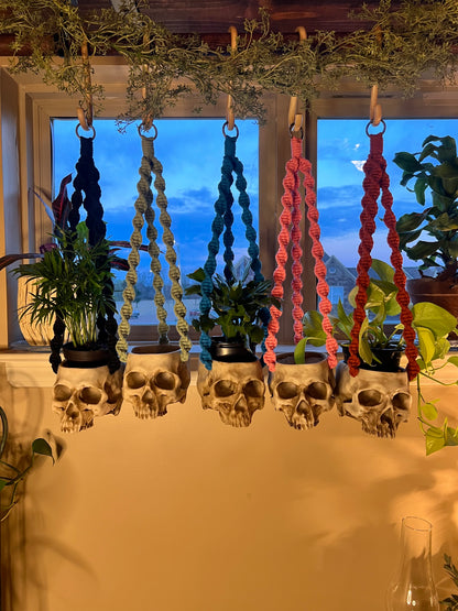 Macrame Skull Plant Holder