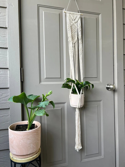 Macrame Wall Plant Hanger